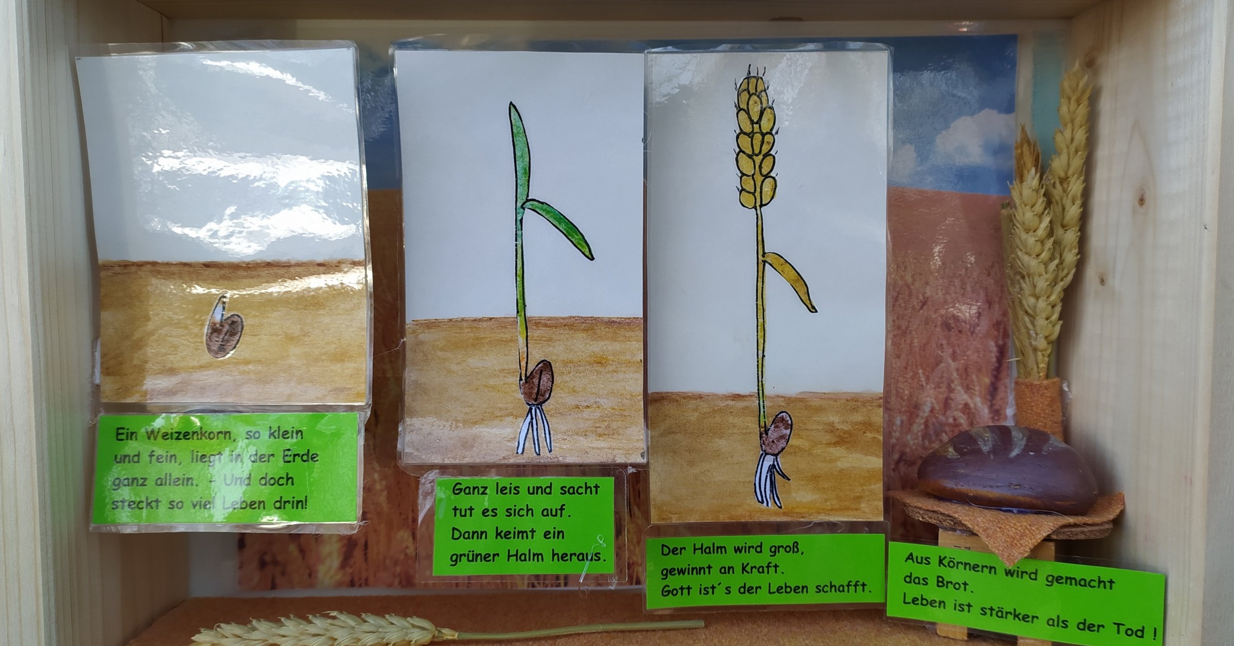 Das Weizenkorn Pfarrei St. Donatus AachenBrand