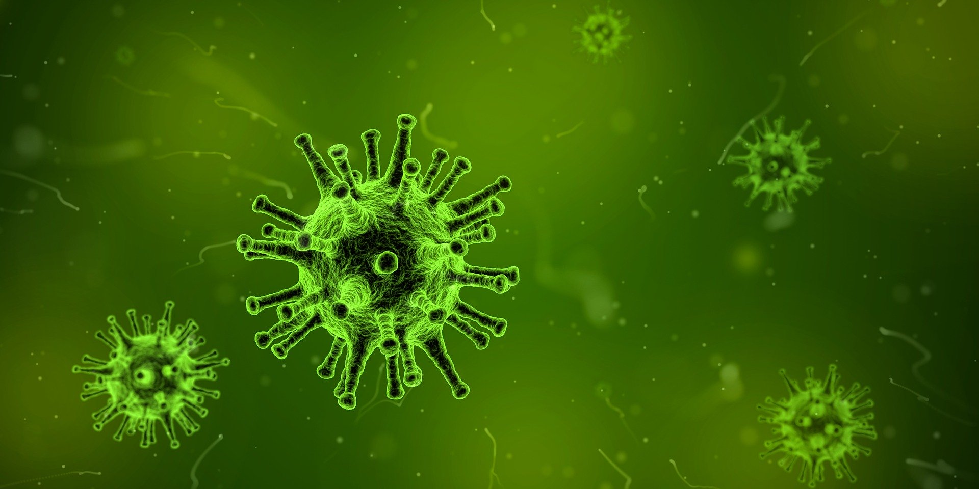 virus-1812092_1920 (c) Bild von Arek Socha auf Pixabay