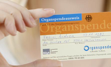 Leben schenken - Foto-Ausstellung im Pfarrzentrum